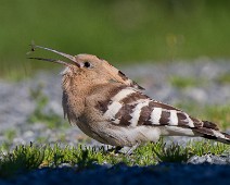 PTH_5340_2