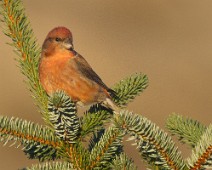 PTH_5780_2