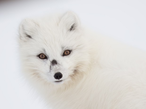 Svalbard